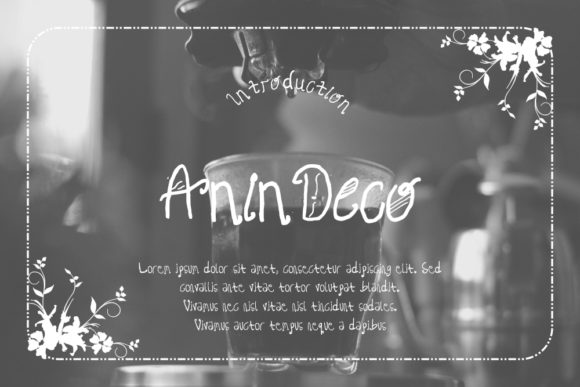 Anin Deco Font: A Display Typeface for Authentic Editorial Design