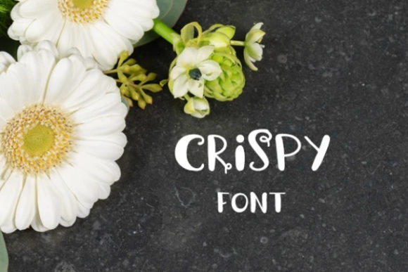 Crispy Display Font for Bold Campaign Headlines