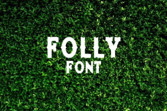 Folly Display Font for Editorial Elegance