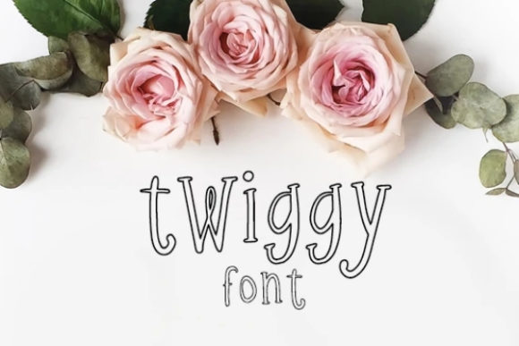 Twiggy Font: A Versatile Display Typeface for Craft Creators