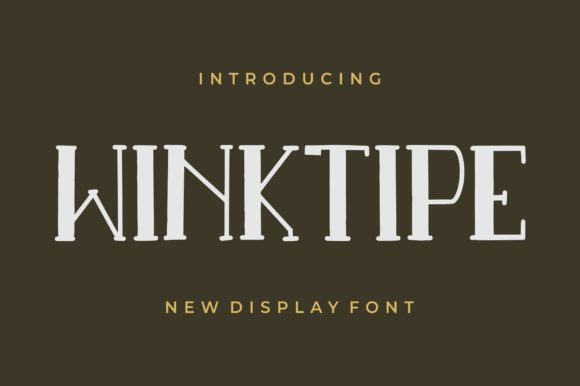 Winktipe Display Font for Creative Web Design